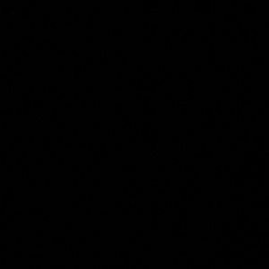 Meet your Posher, Raina